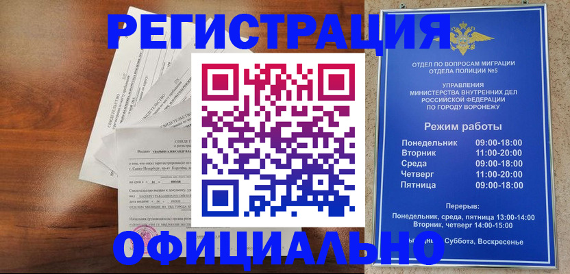 прописка поиск в Электрогорске